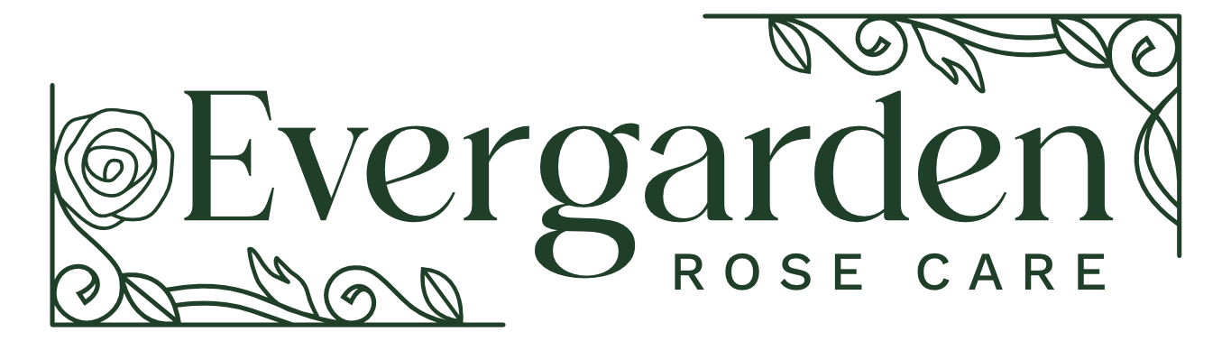 Evergarden Rose Care